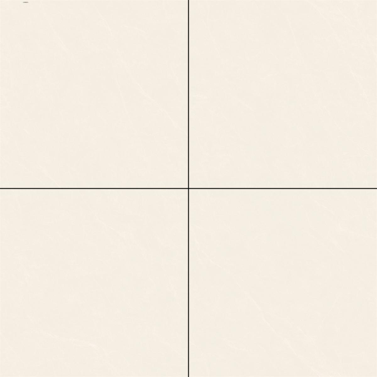 Gạch nhập khẩu cao cấp 80J21