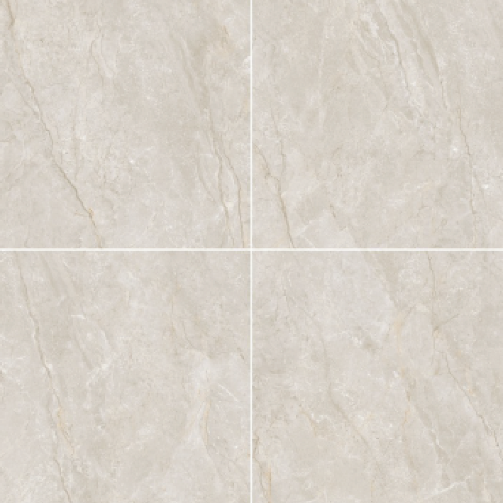 Gạch nhập khẩu cao cấp DBP12FK145