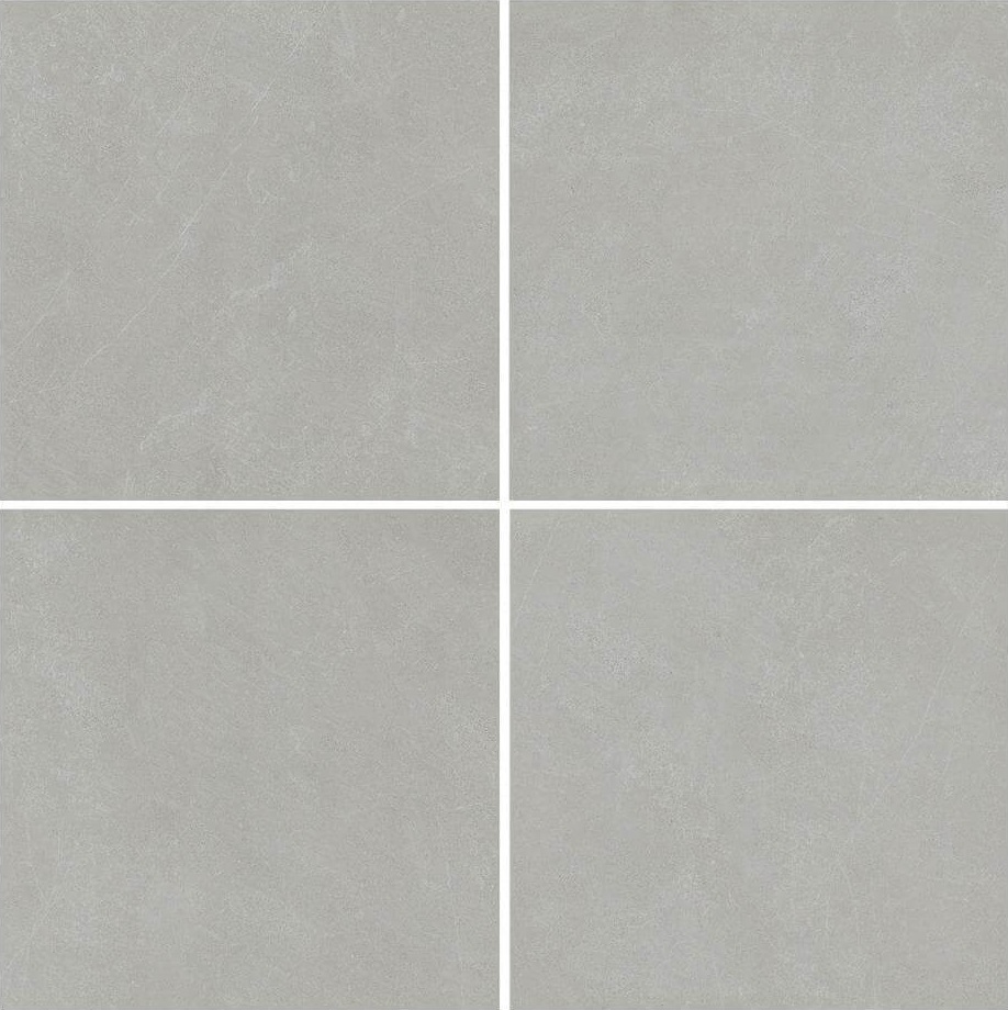 Gạch nhập khẩu cao cấp TTC88009B