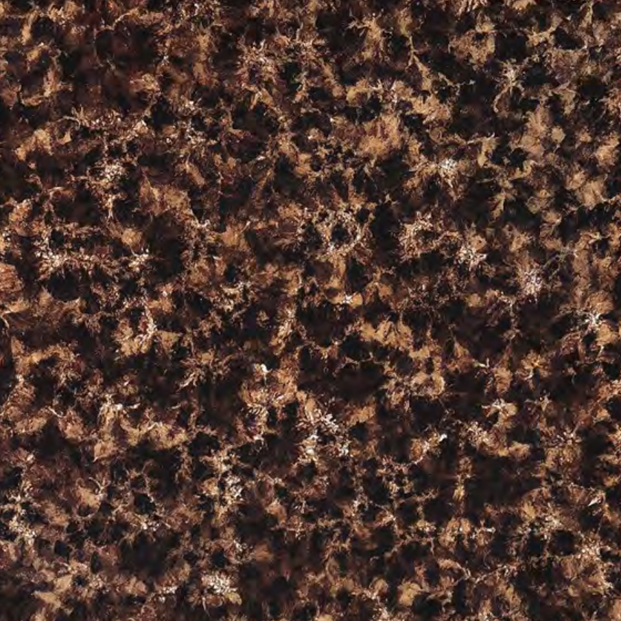 Gạch cao cấp Q8818